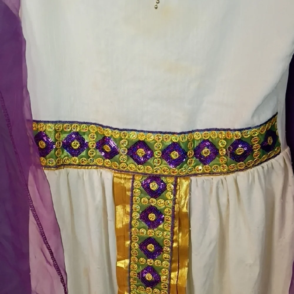 Kids Egyptian Costume with Purple and Gold Accents Size Girls Large 10/12
